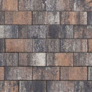 Fortia Higland 21x10,5x7cm