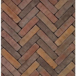 Gebakken Waalformaat Wienerberger Vida Supraton 6cm