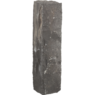 Palissade Basalt Zwart 50x12x12cm
