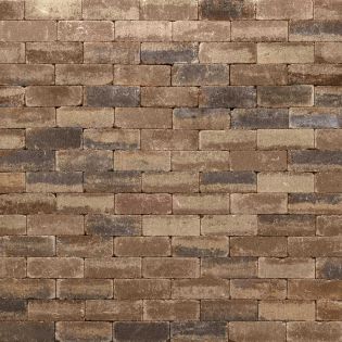 Trommelsteen Waalformaat Copper Blend 20x5x7.3cm