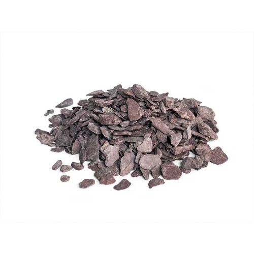 Canadian Slate Violet