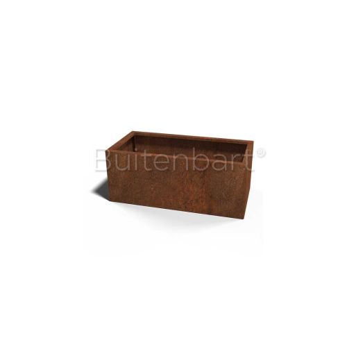 Cortenstaal Plantenbak Rechthoek 50x100cm, hoogte 60cm