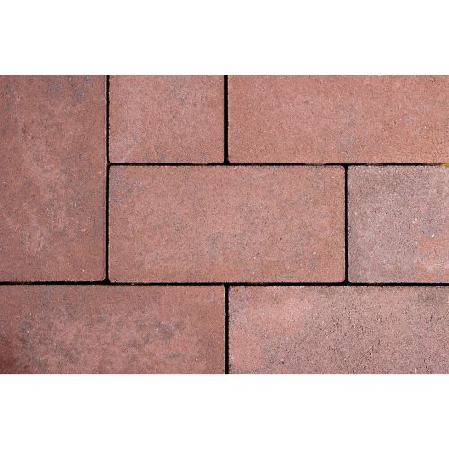 GeoCotto Capo 21x10.5x8cm