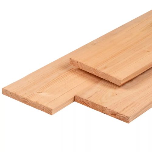 Tuinplank Douglas Gedroogd en Geschaafd 2,8x24,5x400cm