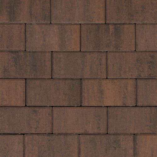 Fortia Argyll 21x10,5x7cm