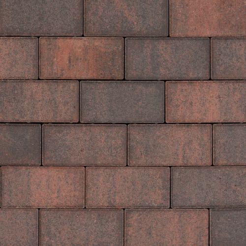 Fortia Celctic Red 21x10,5x7cm