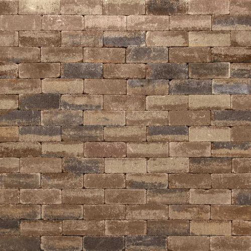 Trommelsteen Waalformaat Copper Blend 20x5x7.3cm