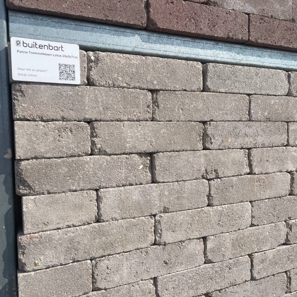 Trommelsteen of strakke steen: welke past bij jouw tuin?
